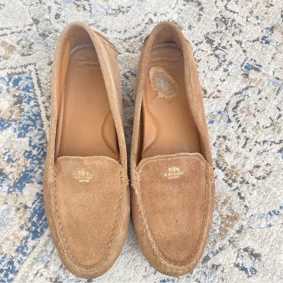 Coach Shoes Coach Amber Suede Driving Loafers Size 8 Poshmark